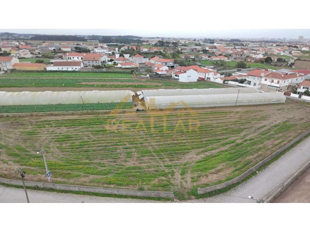 Excelente Terreno Urbano com toda infraestrutura - Terroso - Grande imagem: 4/21