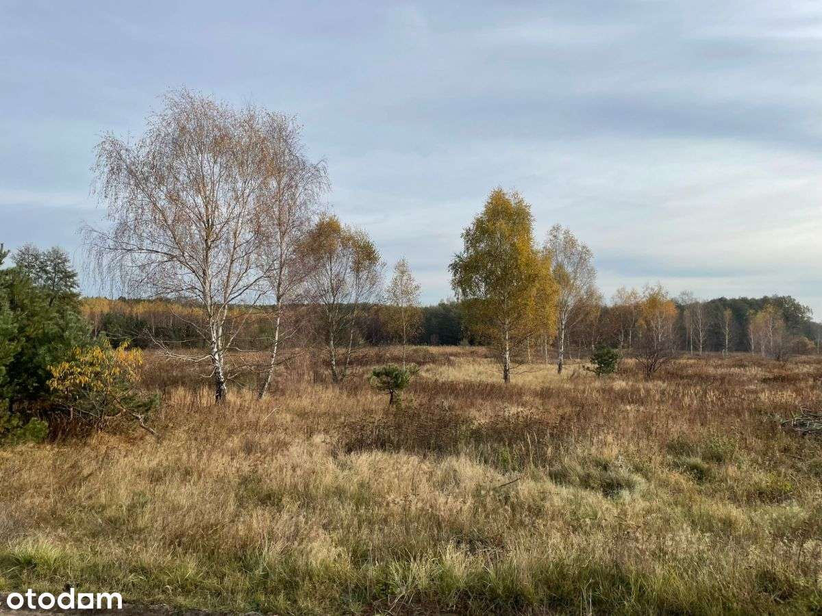 Atrakcyjna Działka Inwestycyjna Pod Osiedle Domów