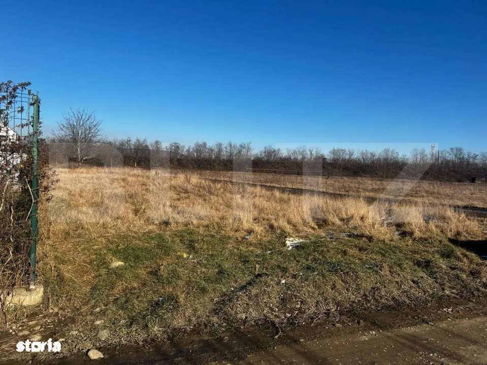 Teren Selimbar, 5000 mp. - Imagine principală: 2/2