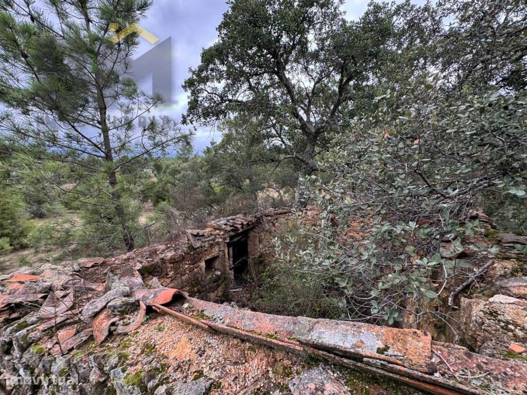 Quinta com 18.000m2 para venda em Freixial do Campo! - Grande imagem: 3/16