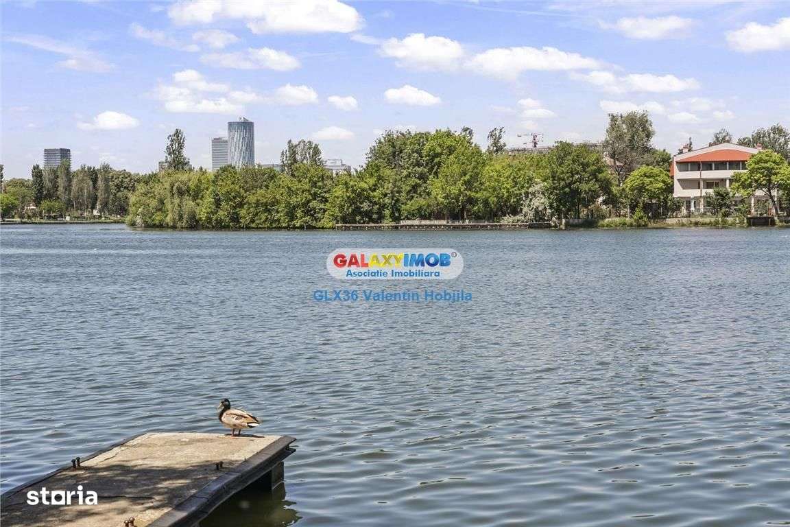 Vanzare vila Lacul TEI  PETRICANI INSULA  LAC 1900 MP TEREN - Imagine principală: 2/20