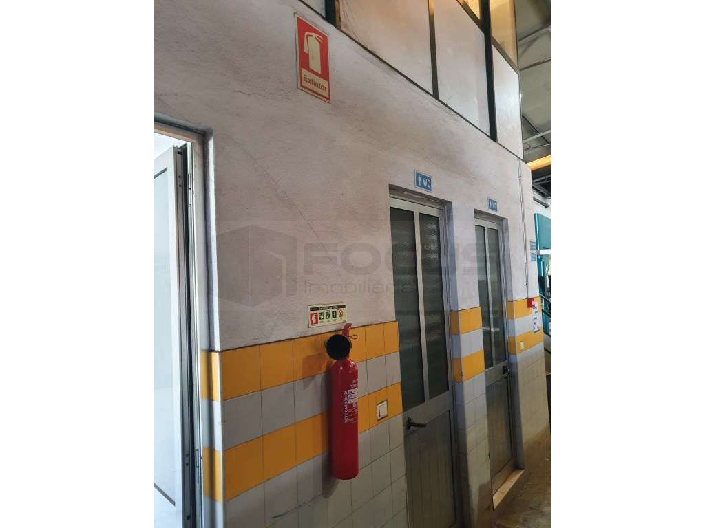 Armazém para arrendamento - Zona Industrial de Ervosas - Ílhavo - Grande imagem: 5/21