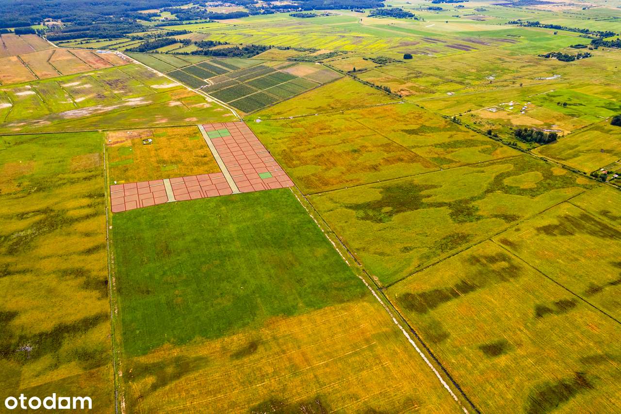 Kompleks działek tuż przy morzu - Pełny obrazek: 5/11