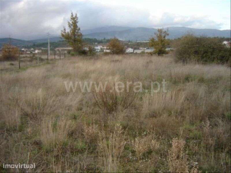 Terreno Rústico / Fundão, Alcaria - Grande imagem: 2/4