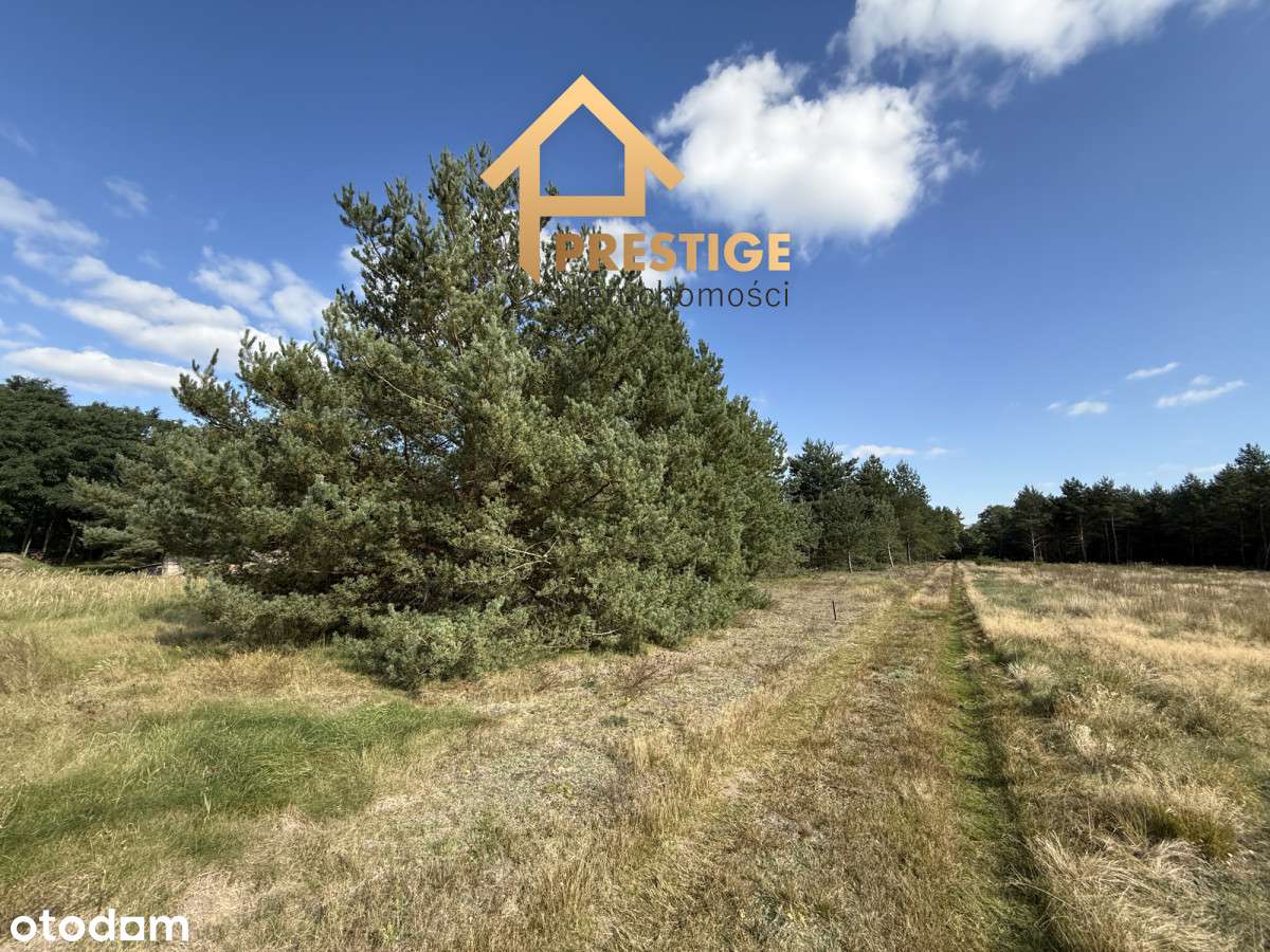 Działki budowlane Rosocha-Kolonia-3