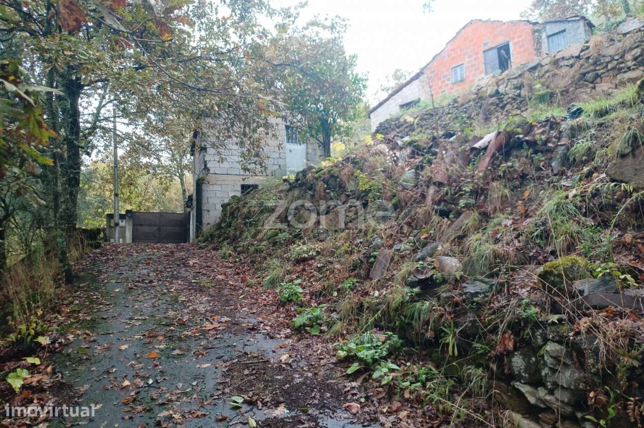 Oportunidade Única: 2 Artigos Urbanos para Obras + 3 Terrenos-Alvite-14