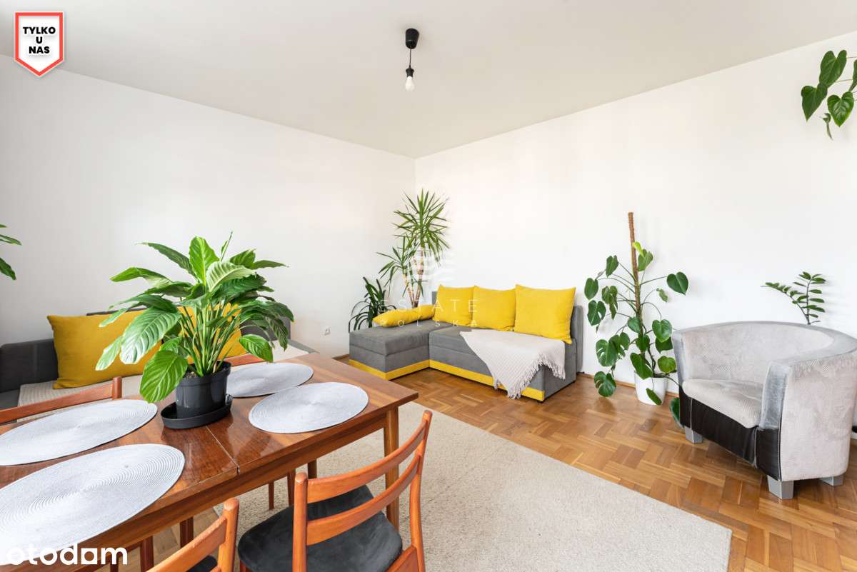 Gotowe do zamieszkania, możliwość 3 pokoi | Morena-0