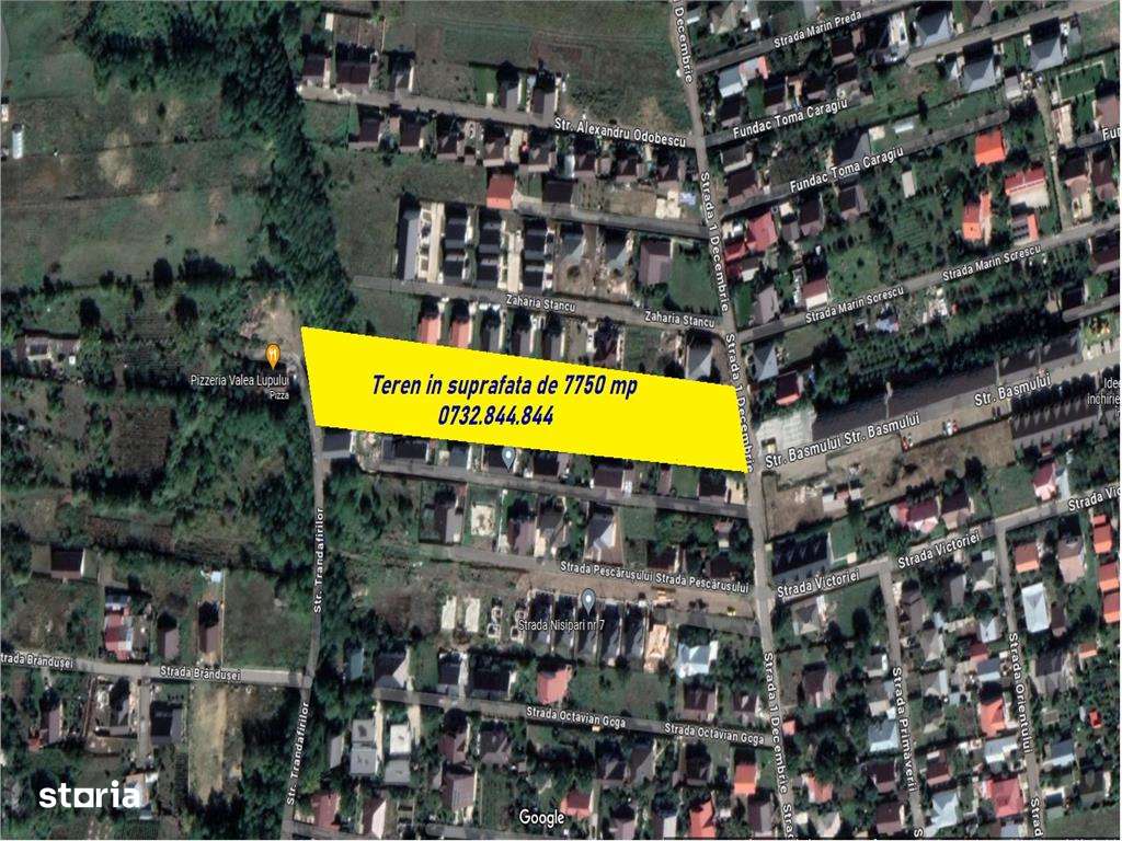 Exclusivitate! Teren 7750 mp Valea Lupului 1 Decembrie - Imagine principală: 4/5