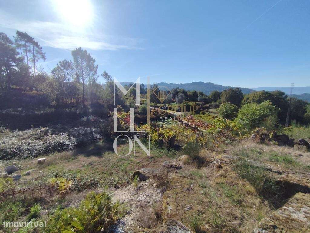 Terreno com 3.699M2, viabilidade de construção e venda em Arcos de Val - Grande imagem: 5/19