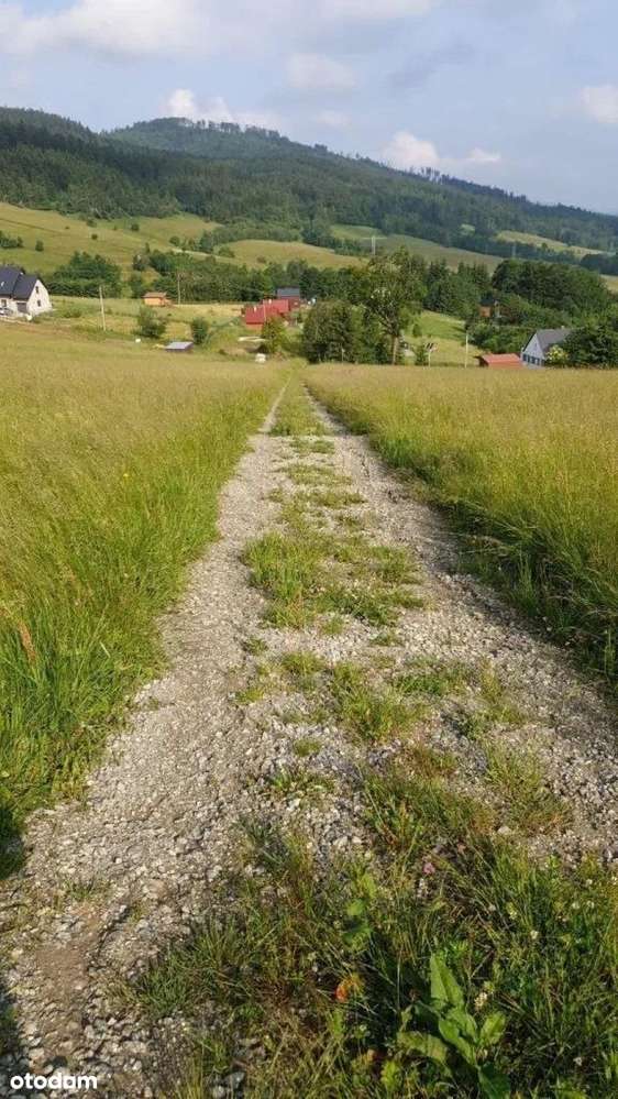 Urokliwa działka w Górach Sowich-13