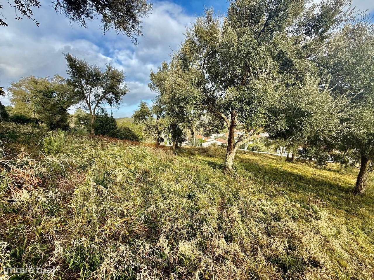 Terreno urbano 6.587 m2 com viabilidade para 4 moradias - Grande imagem: 5/13