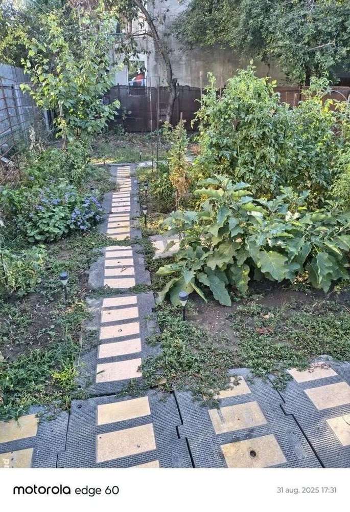 Casa in Popesti-Leordeni curte 334 mp Soseaua Oltenitei - Imagine principală: 2/12