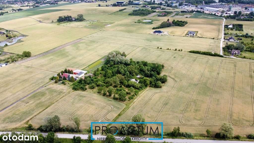 Działka Przemysłowo-Usługowa 7,58 ha k. Torunia - Pełny obrazek: 4/12