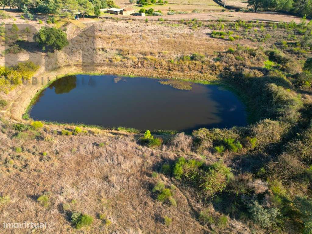 Terreno agrícola em Retaxo - Grande imagem: 3/10