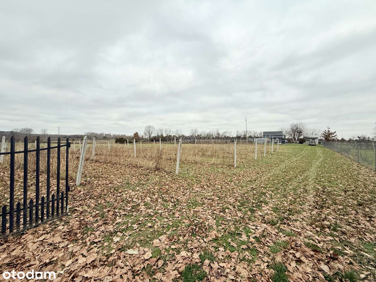 Dom 70 m² na dużej działce 1,04 ha – Godów, gmina Chodel-9