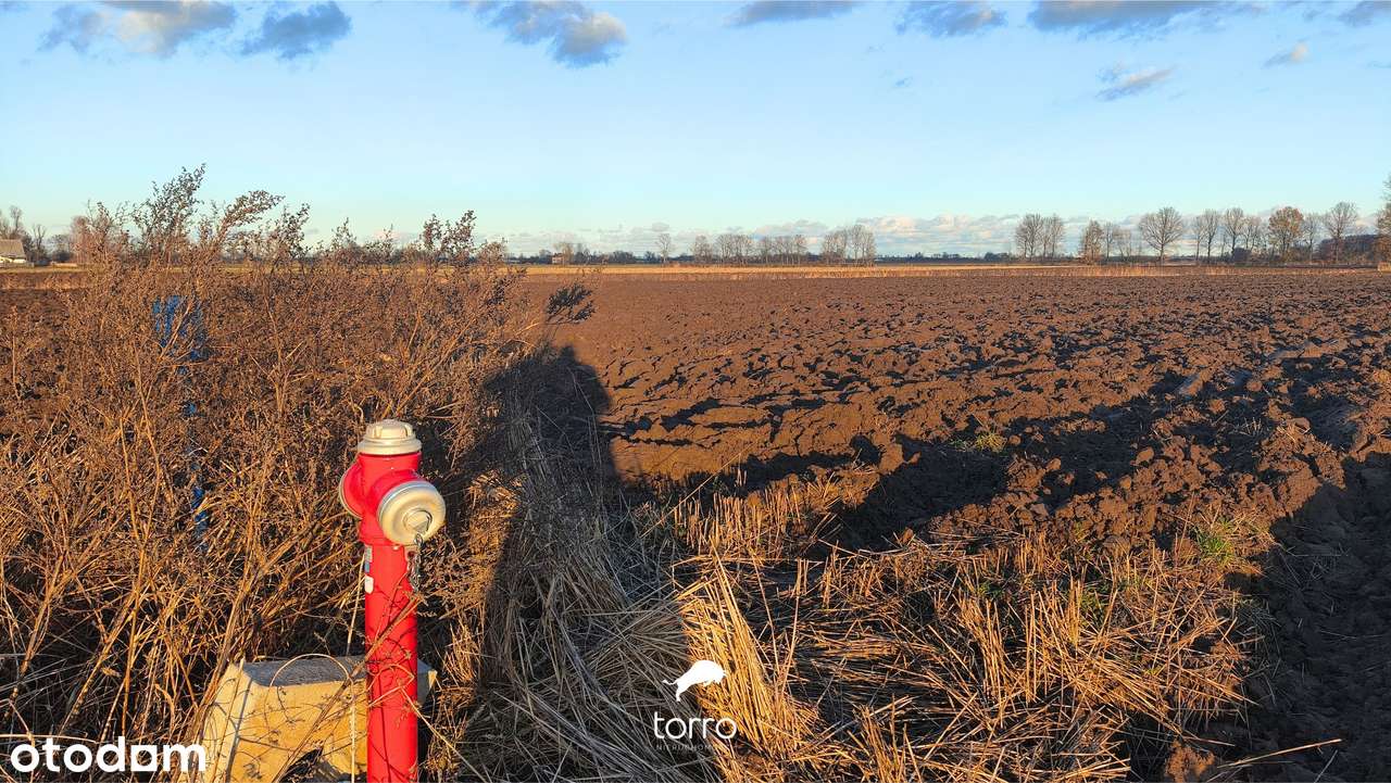 Idealna Działka pod Budowę dużego Domu – *20min od Centrum Gdańska* - Pełny obrazek: 5/15