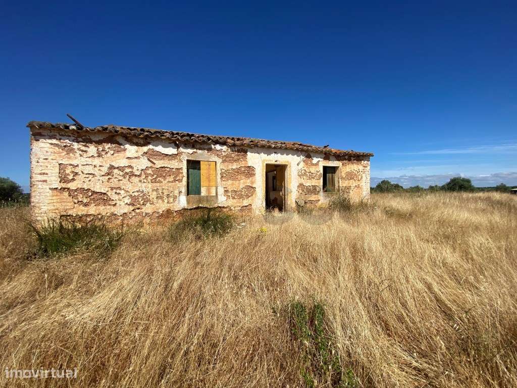 Pequena Quinta com Ruína para Recuperar em Vila Nova de São Bento-12