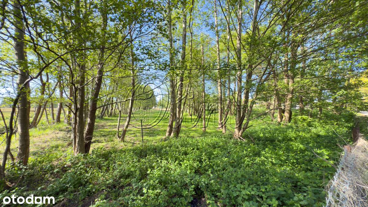 Działka z potencjałem turystycznym - Pełny obrazek: 4/8