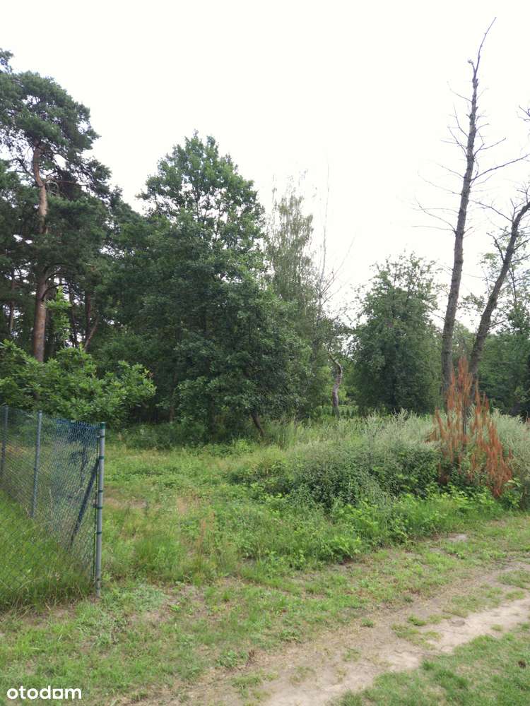 Całoroczna Stodoła na działce nad jeziorem!-12