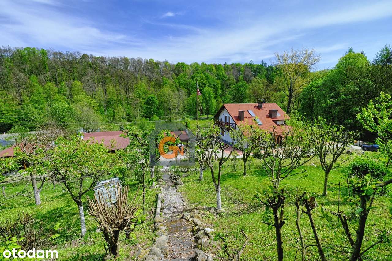 Nowy nietuzinkowy dom o pow. 150m2 ze stawem. Działka o pow. 1ha-18