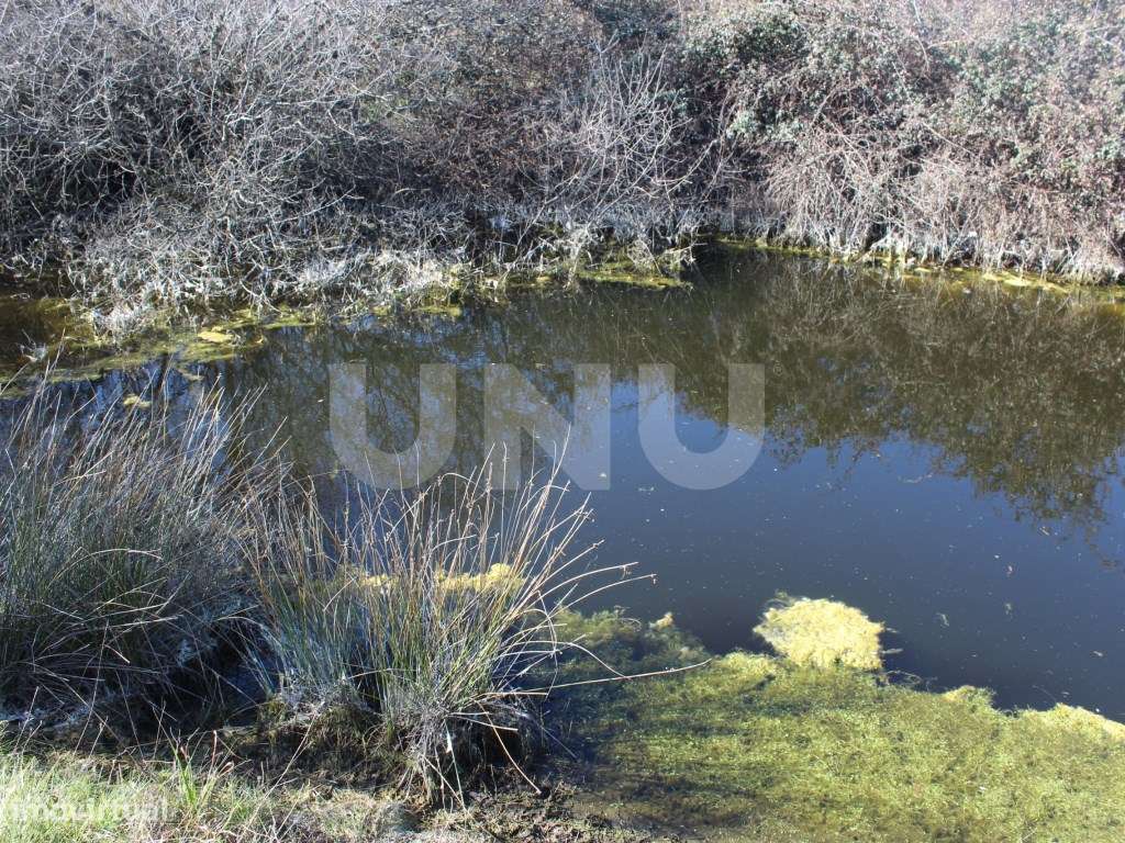 Quinta para Venda em Aldeia do Bispo, Penamacor - Grande imagem: 4/22