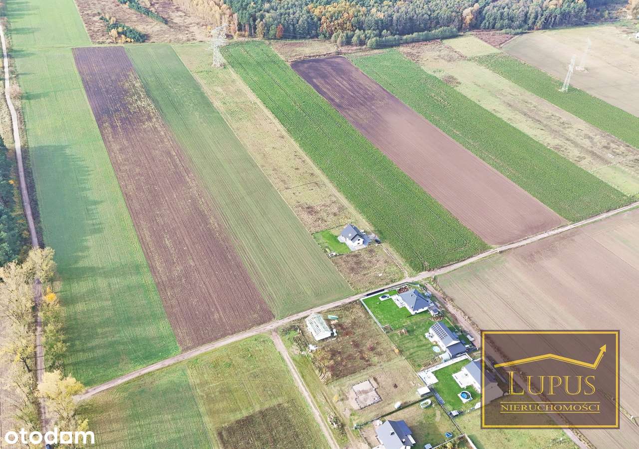 Działki budowlane w Grzędzicach - Pełny obrazek: 3/10