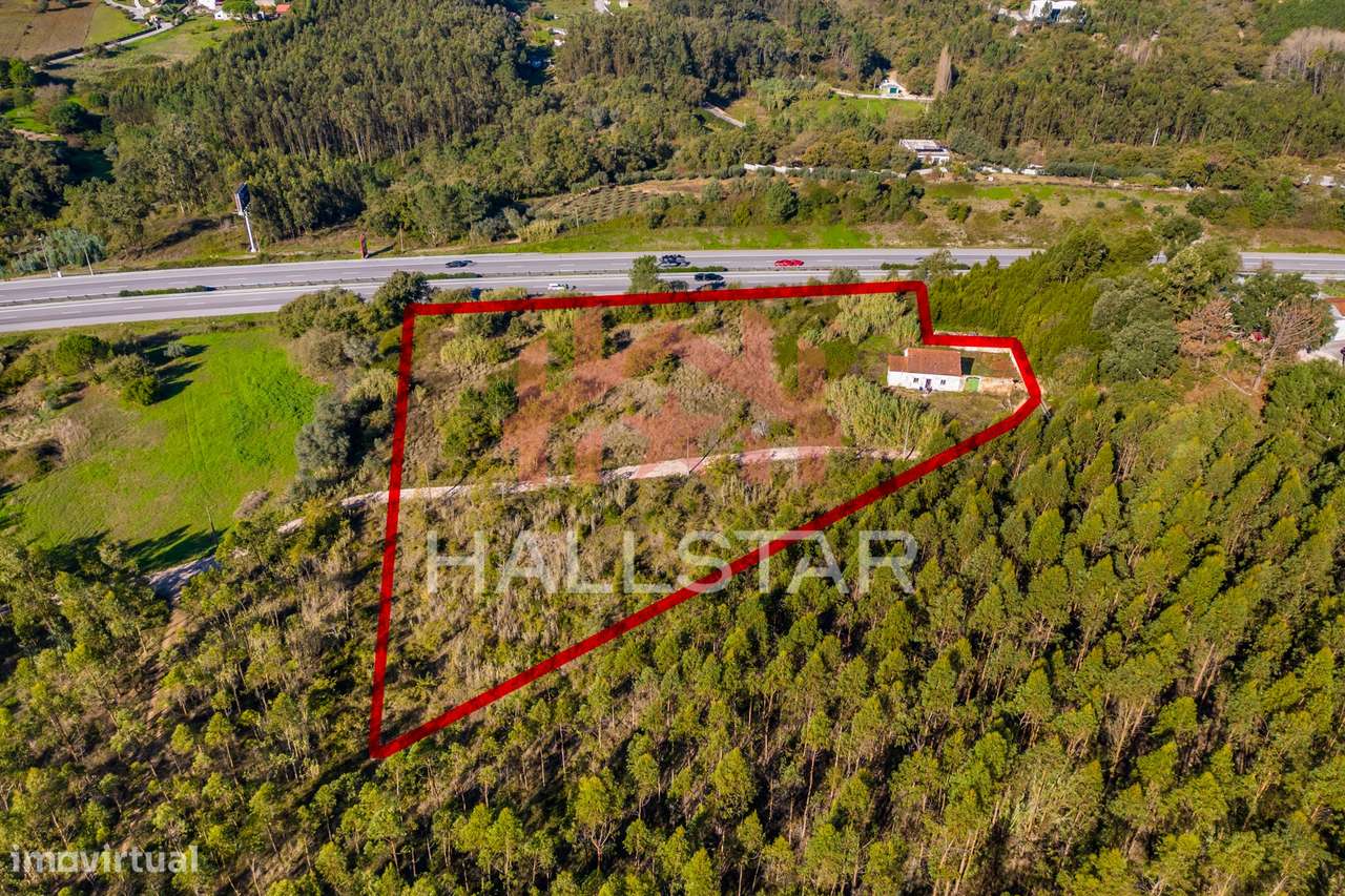 Quinta T3 em Remodelação / Terreno com 9.323m2 / Boa Vista-18