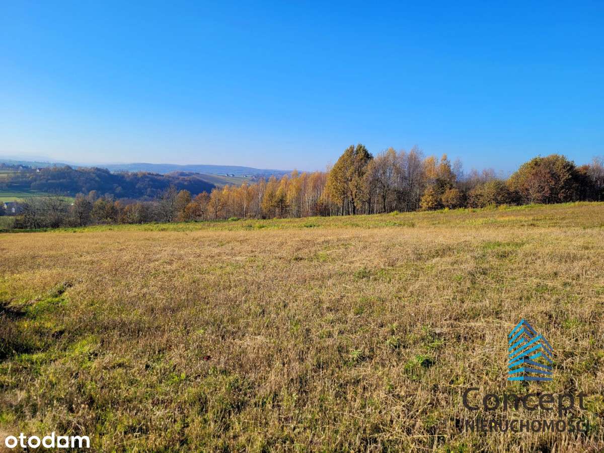 Biesiadki - działka budowlana 32 ary - Pełny obrazek: 4/15