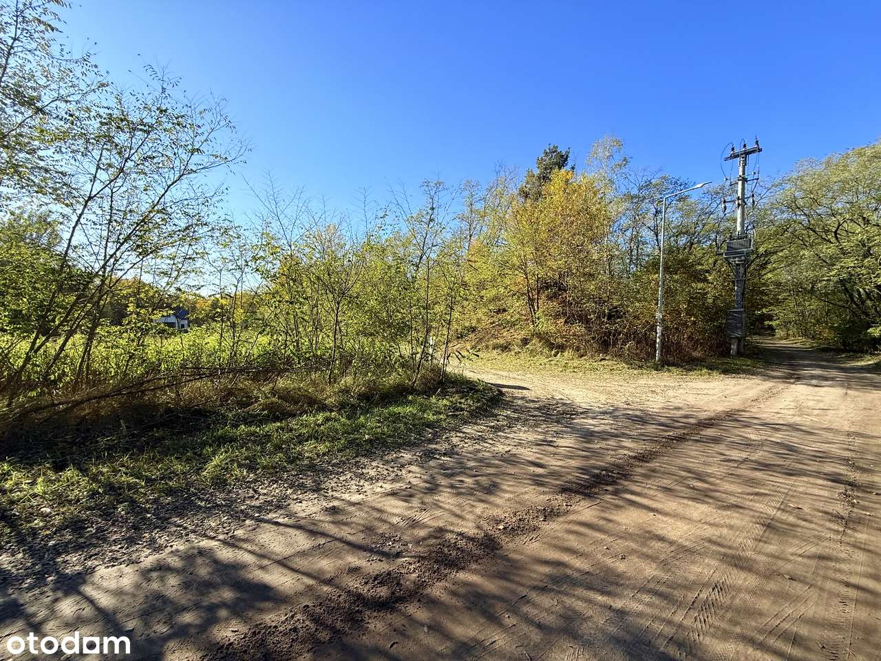 Działka 1983 m² w Józefowie, ul. Leśna – idealne miejsce na Twój dom - Pełny obrazek: 5/10