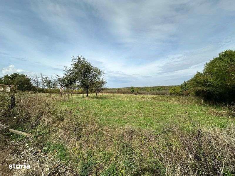 Ofer spre vanzare teren Intravilan în Viile Satu Mare - Imagine principală: 5/8