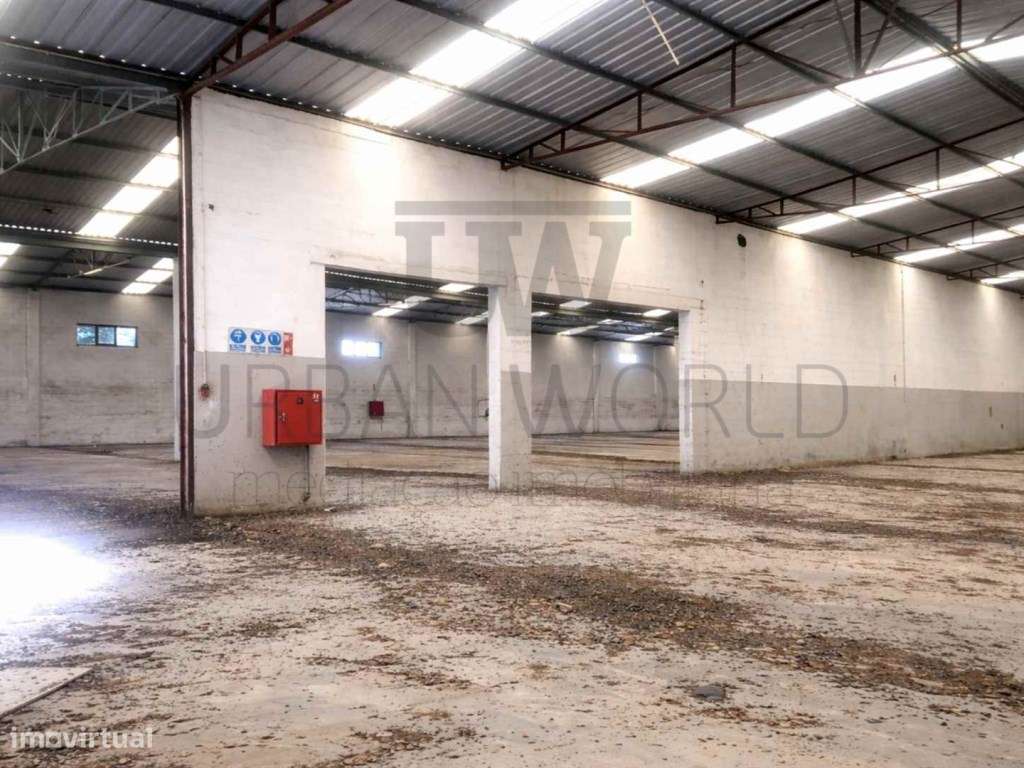 Armazém, Chamusca - Santarém, 4.665m2 - Grande imagem: 4/10