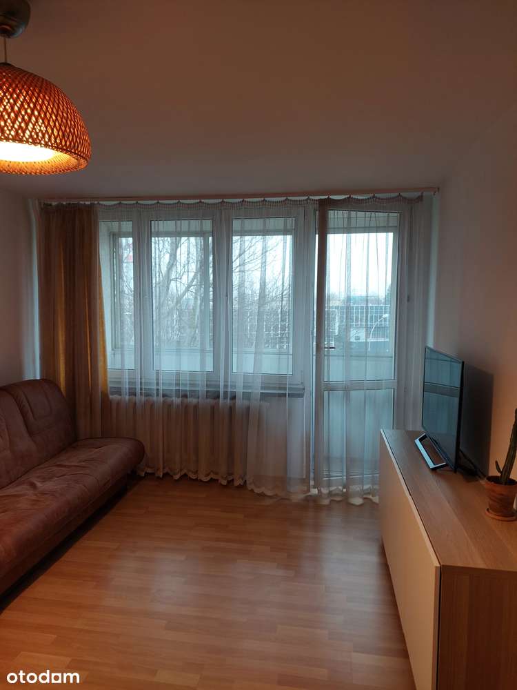 Ogłoszenie prywatne, wygodna lokalizacja, Jelonki - Pełny obrazek: 2/7