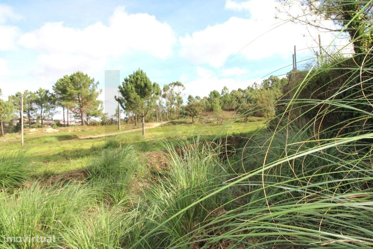 Terreno com 3000m2 URBANO - Grande imagem: 2/11