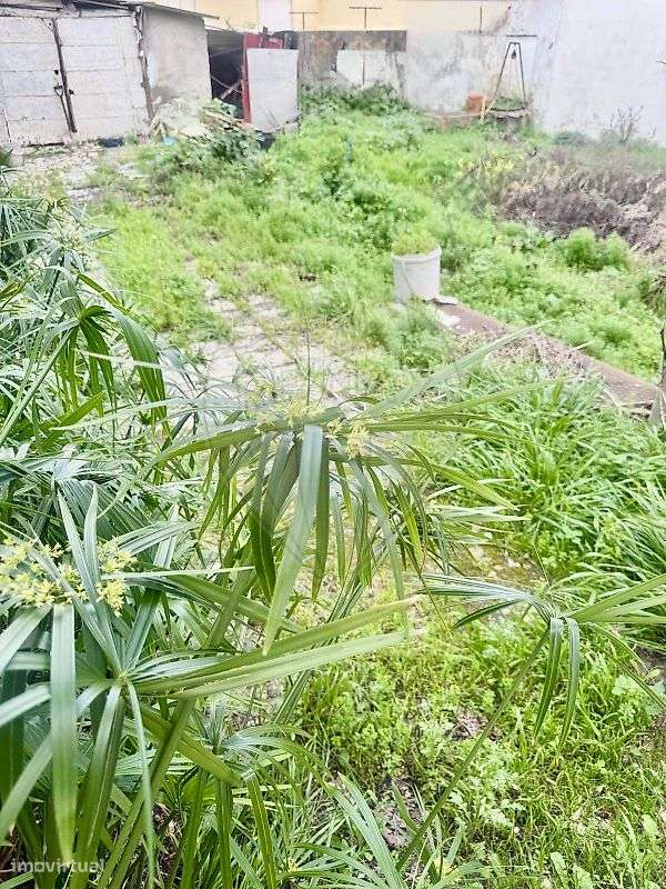 Terreno  para venda-6