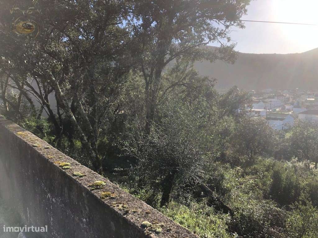 LOTE DE TERRENO EM MINDE PARA CONSTRUÇÃO - Grande imagem: 2/2