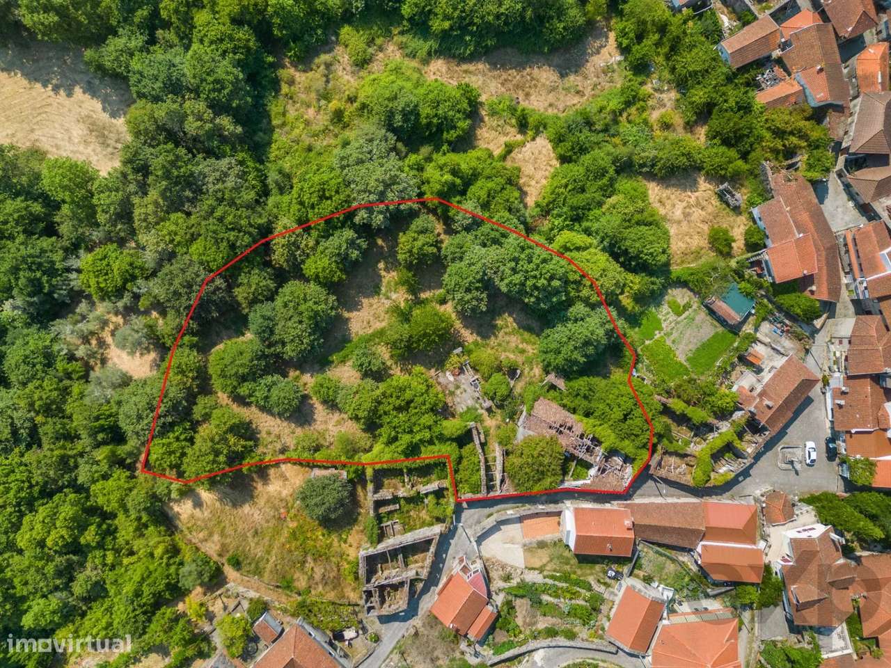 Quinta com Casa em Pedra para Restauro Século XIX - Grande imagem: 2/36