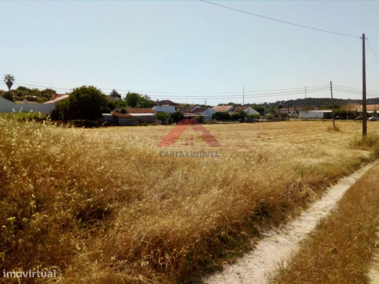 Quintinha  Venda em Pontével,Cartaxo - Grande imagem: 4/8