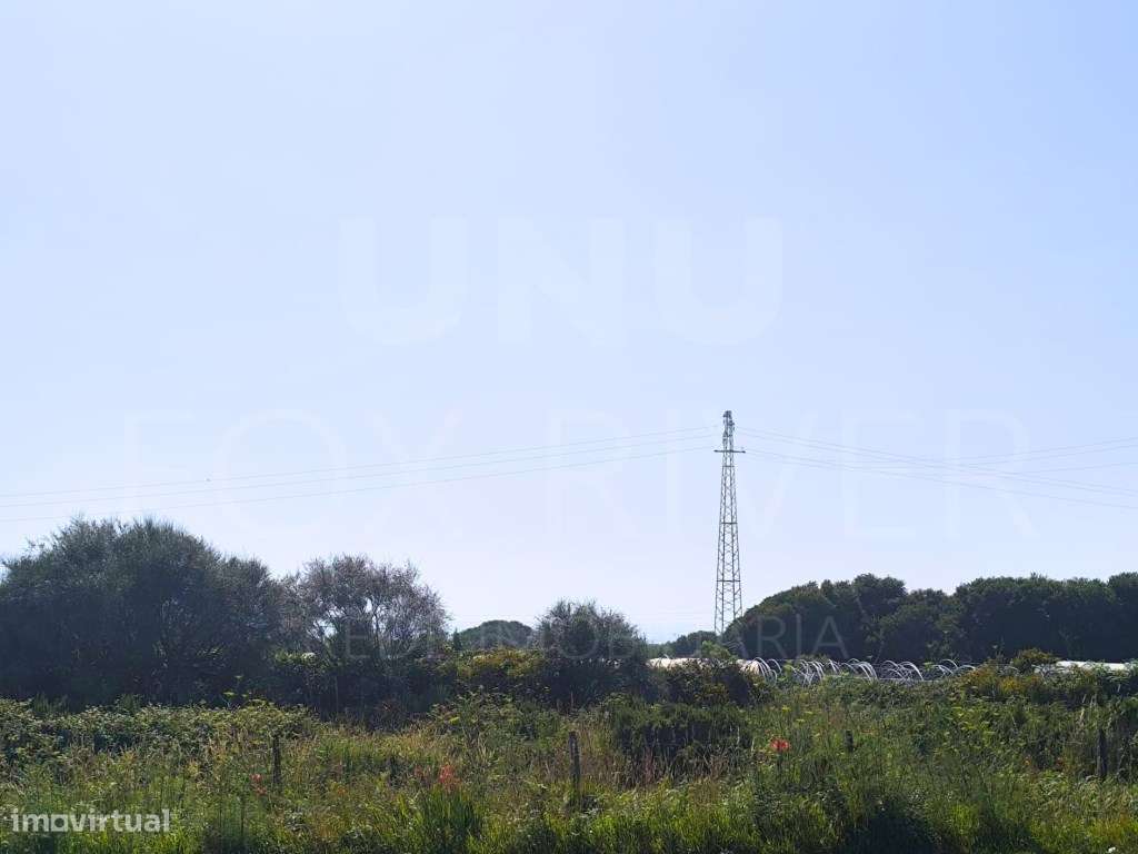 Terreno em Carreço com Vistas Mar - Grande imagem: 4/6
