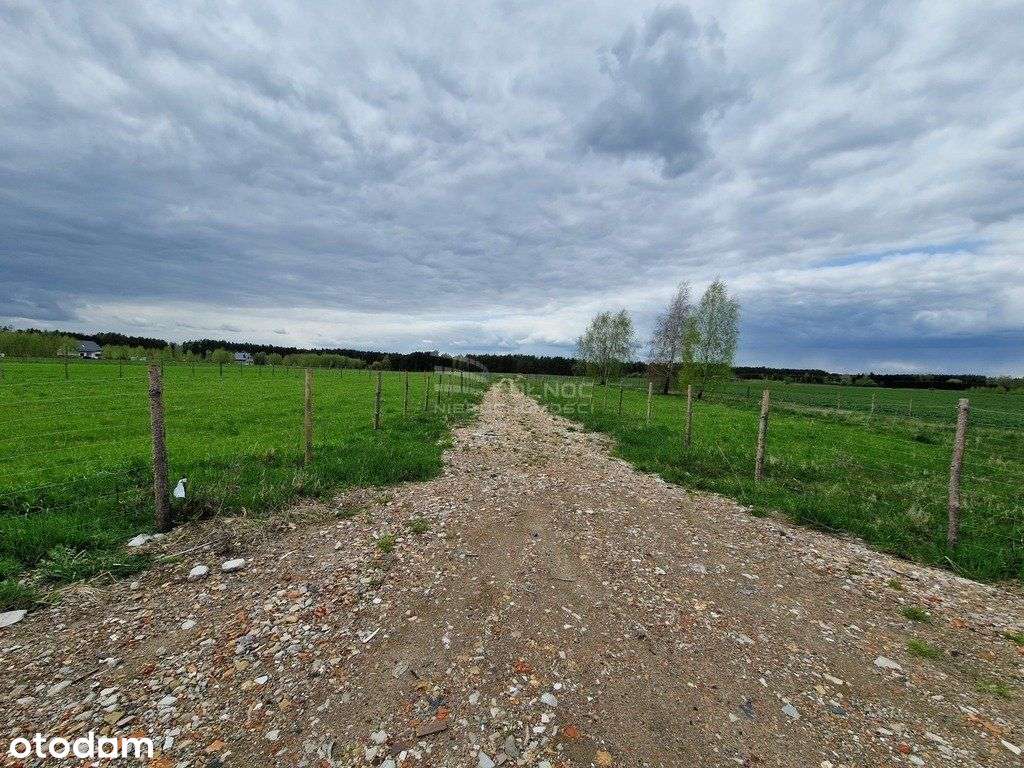 Henrykowo – Raj wśród zieleni, spokój i natura-13