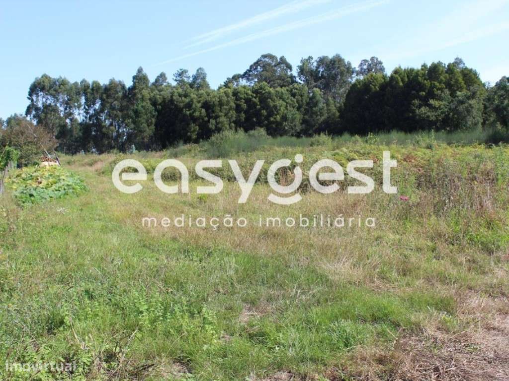 Terreno para construção - Espargo - Grande imagem: 5/5