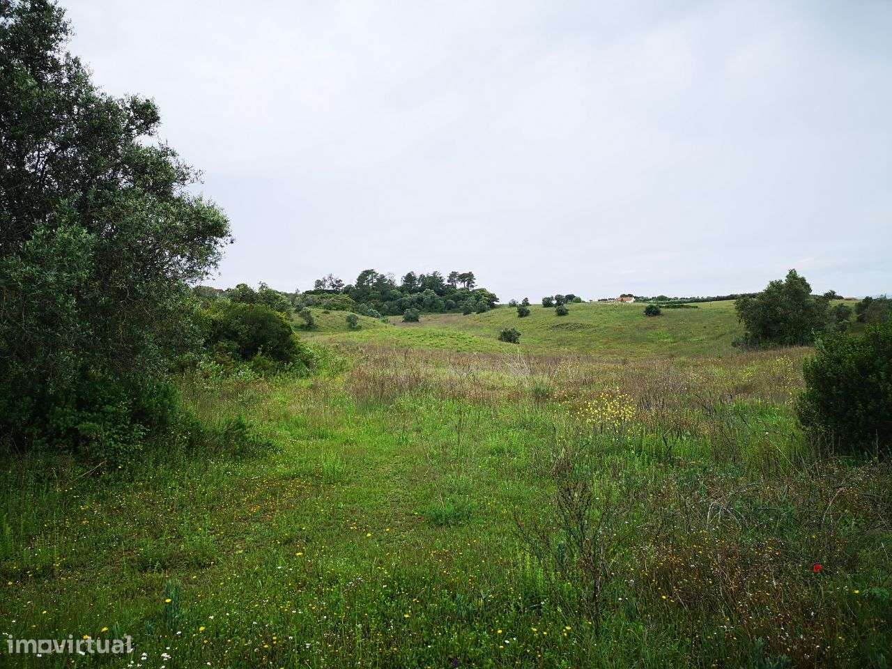 Terreno 57ha Santarém-5
