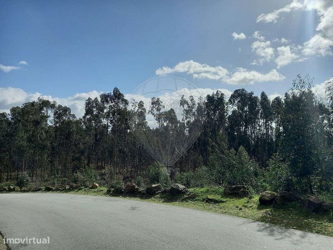 Terreno  para venda - Grande imagem: 5/15