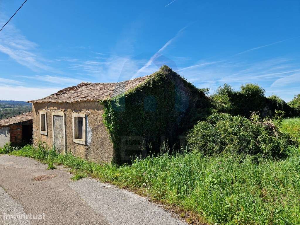 Ruína em Pedra para Recuperar - Pombal-4