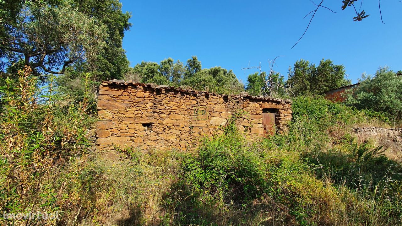 Quinta T0 para venda, em Juncal do Campo com 3720m2, ruina e dois poço