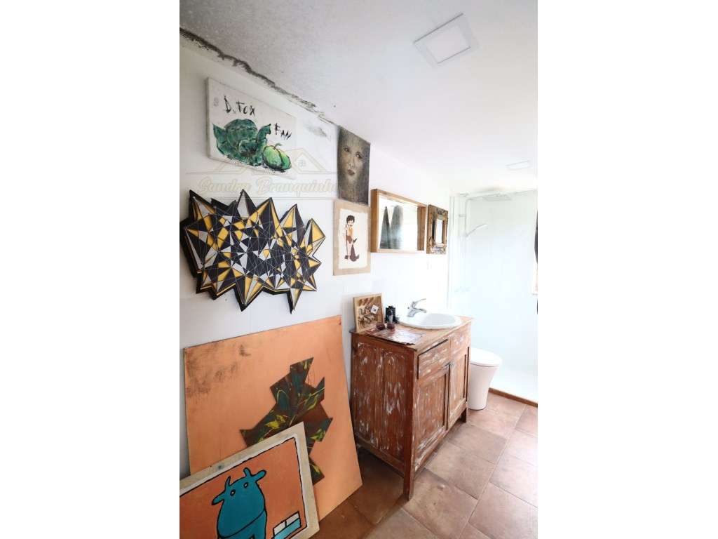 Moradia T3 com garagem e terreno 4120m2-42