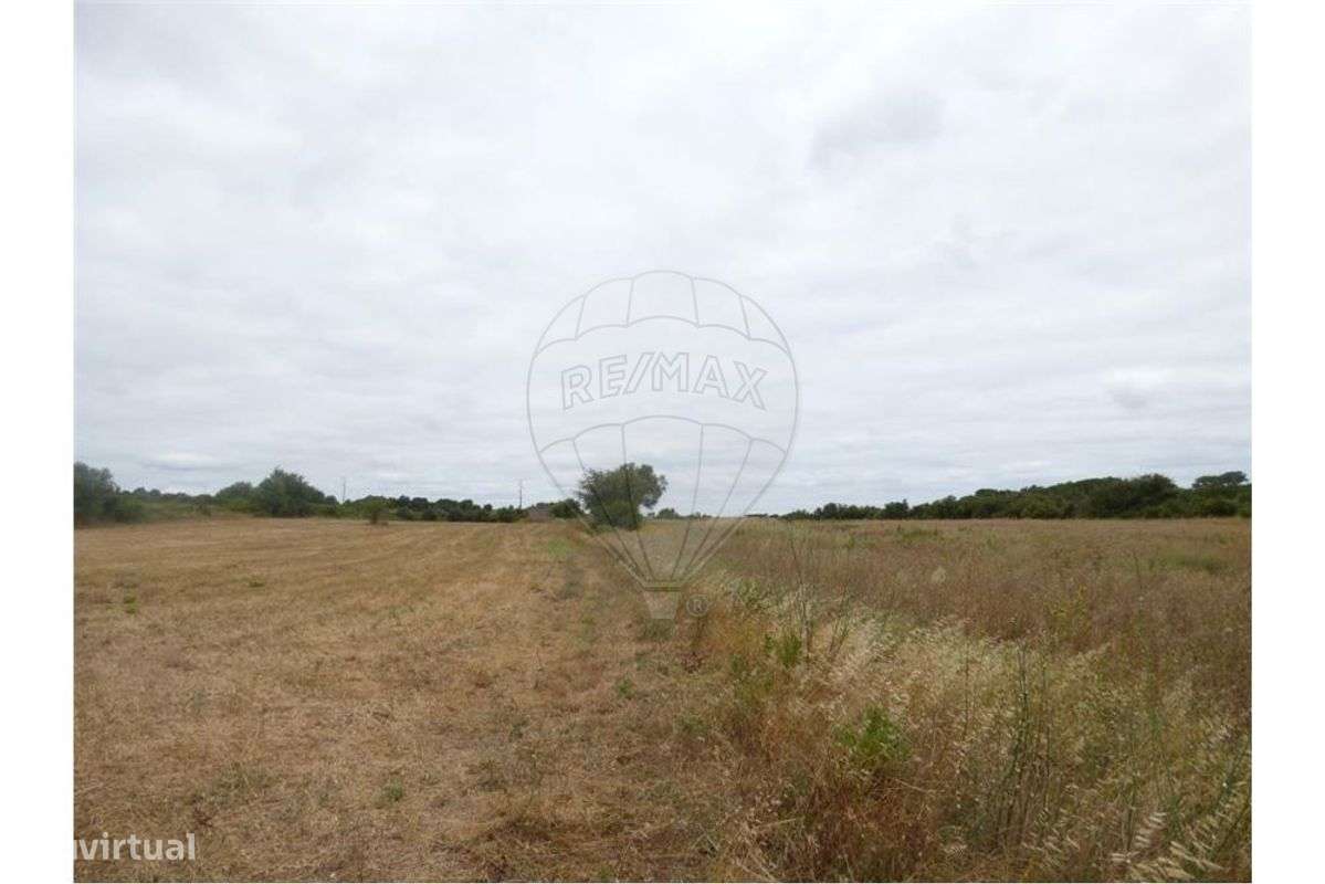 Terreno  para arrendamento - Grande imagem: 4/5