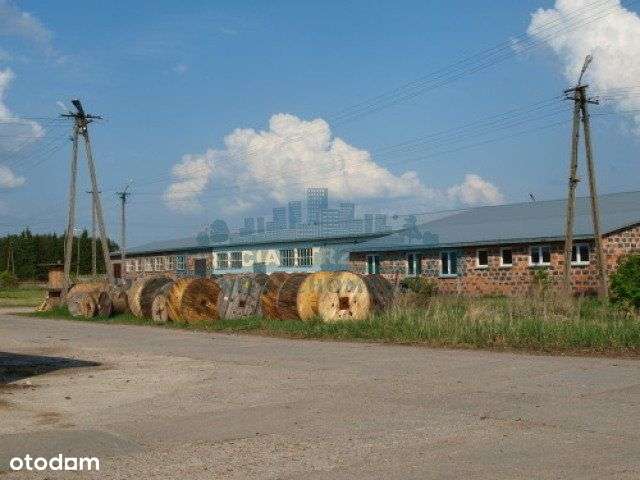 Lokal użytkowy, 4 500 m², Przasnysz - Pełny obrazek: 5/13