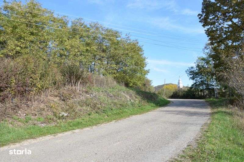 Teren intravilan 2167 Mp,Cetea,Bihor - Imagine principală: 4/4