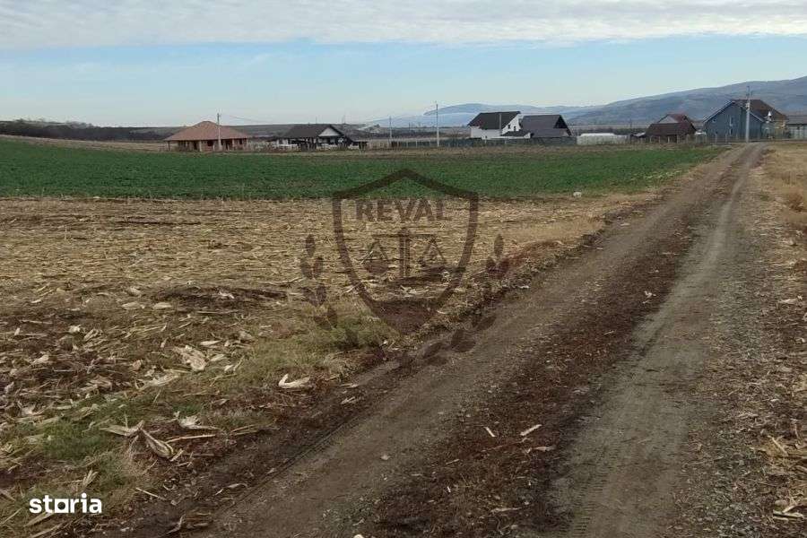 Teren intravilan generos în Ighiu, ideal pentru investiții, 2.900 mp. - Imagine principală: 1/6