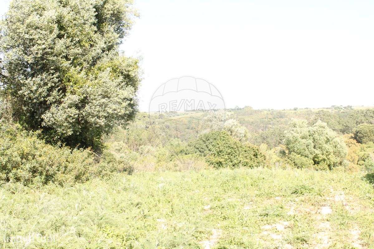 Terreno  para venda - Grande imagem: 4/26